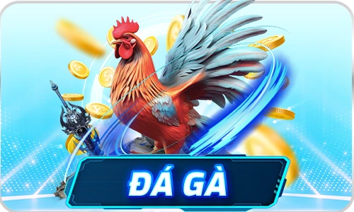 đá gà 8day